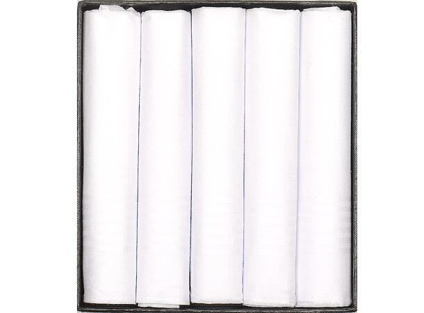 Lommetørkle ensf.hvit 5-pack "brukslommetørklær" 